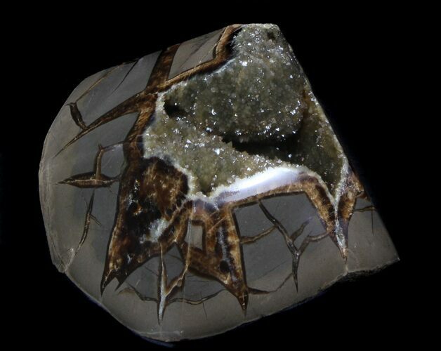 Calcite Crystal Filled Septarian Geode - Utah #37238